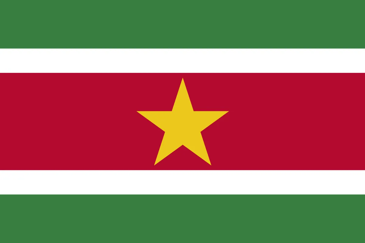 Huidige vlag van Suriname